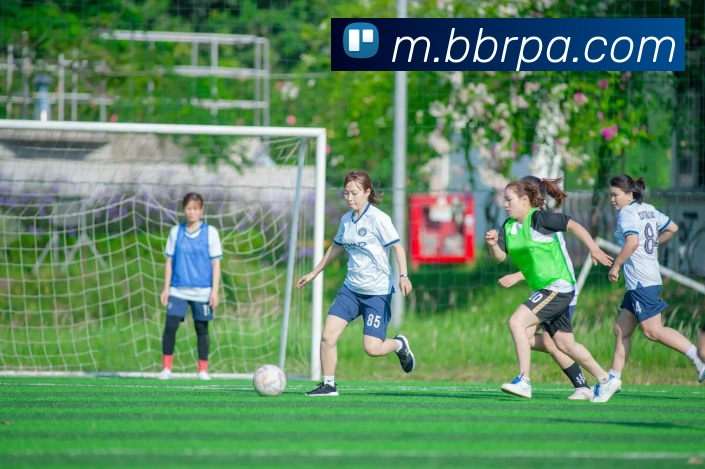 pa真人视讯平台生态图